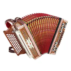 Accordéon Piano Styrie